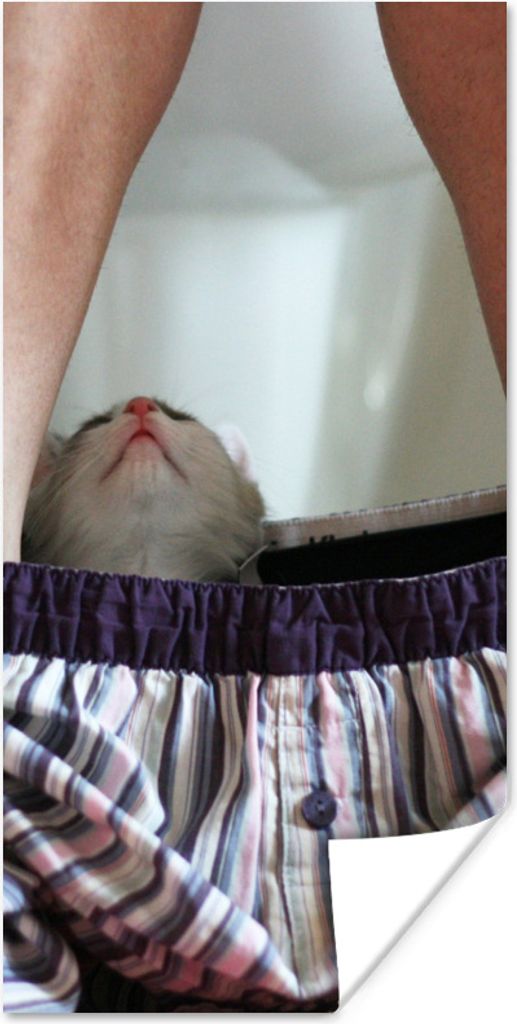 MuchoWow Poster Katze - Hose - Toilette 60x120 cm - Wandschmuck