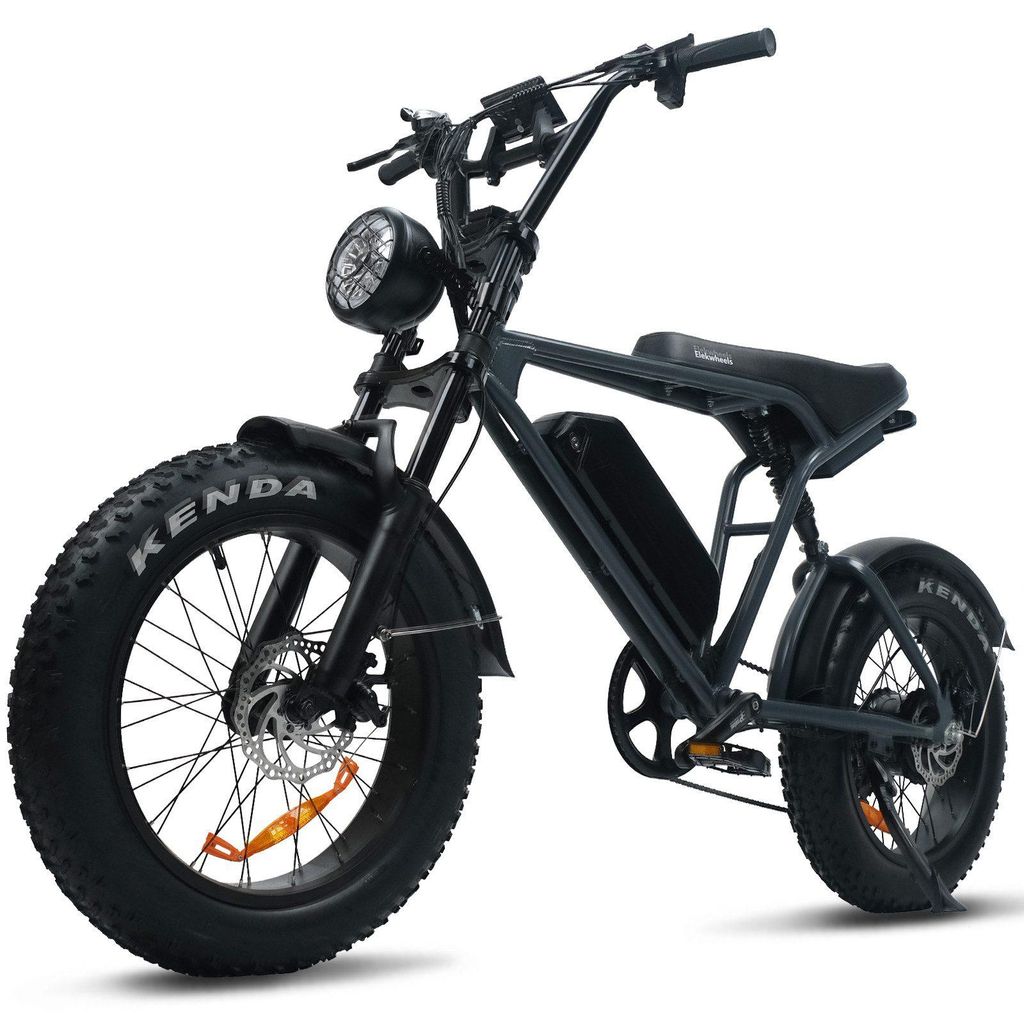 E-Bike Cityrad Schneemobil E6 48V 15Ah 720WH 250W 80Nm Drehmoment 100 km Reichweite bis 100km, 7 Gang Shimano, Kettenschaltung, Heckmotor Pedelec