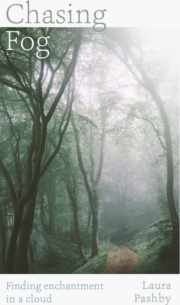 Die Jagd nach dem Nebel