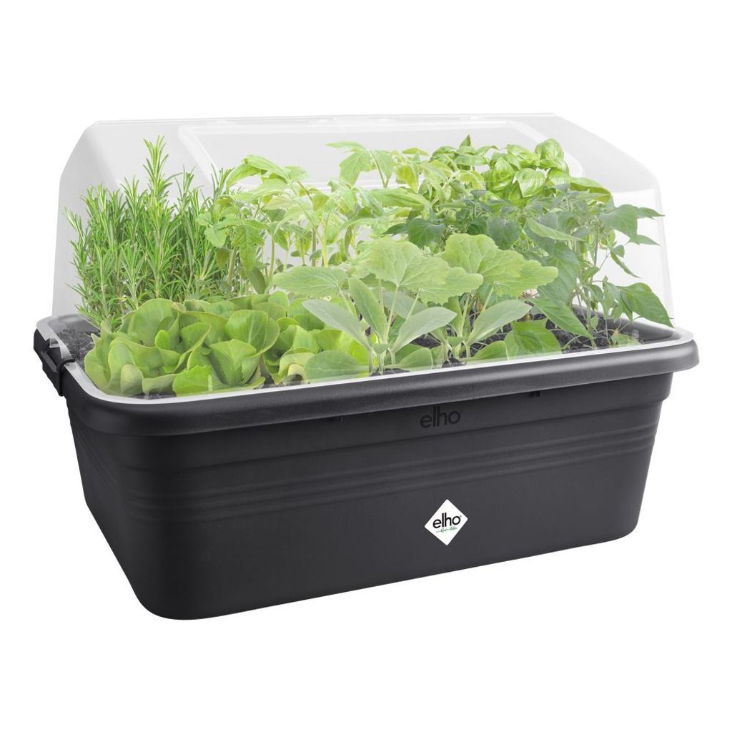 green basics terrassen gartenhaube l transparent