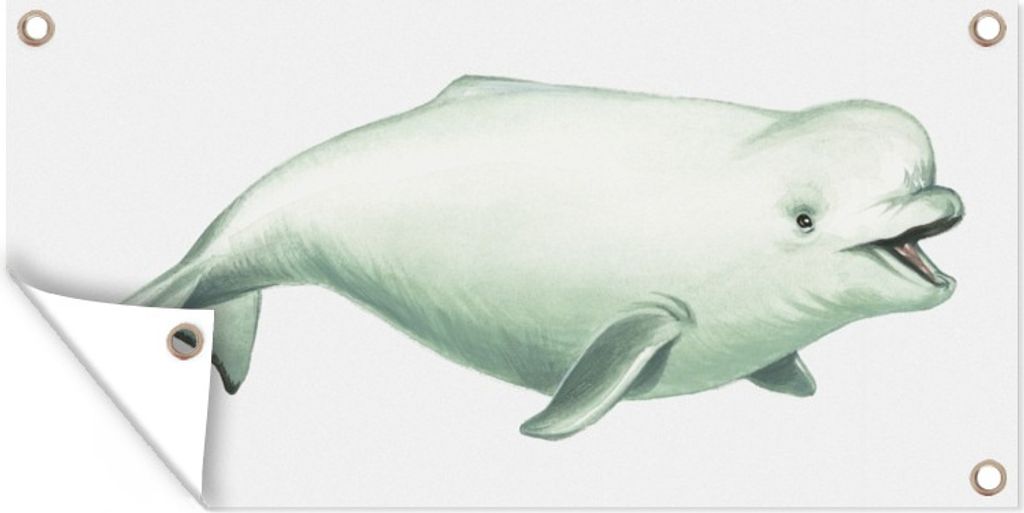 MuchoWow 60x30 cm Outdoor-Poster Gartendeko Sichtschutz Garten Poster für den Garten Illustration eines weißen Delphins vor einem hellen Hinte...