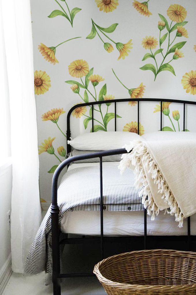 Coloray Fototapete 250x250 cm Latextapete Magicstick - Calendula Marigold Sunny Blumen