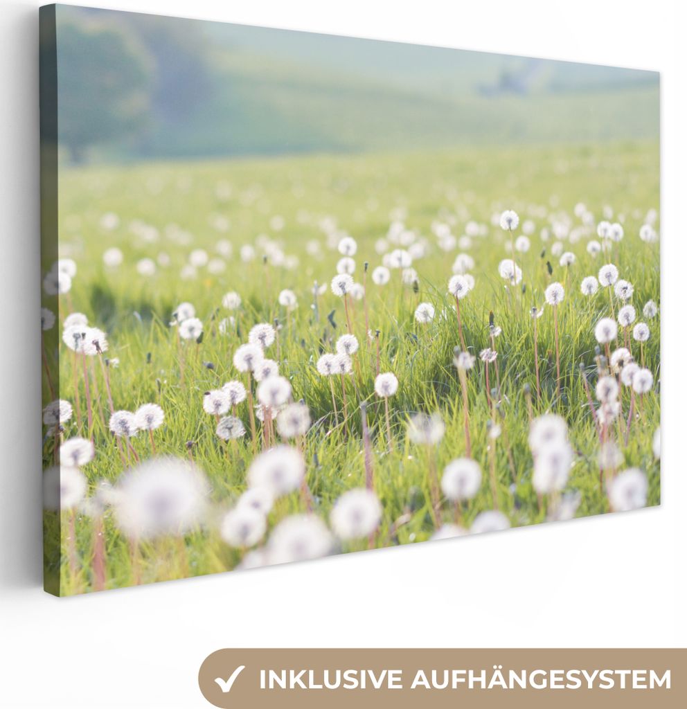 OneMillionCanvasses - Leinwandbilder - 150x100 cm, Frühling - Löwenzahn - Farben, Wandbilder Kunstdruck Wanddekoration