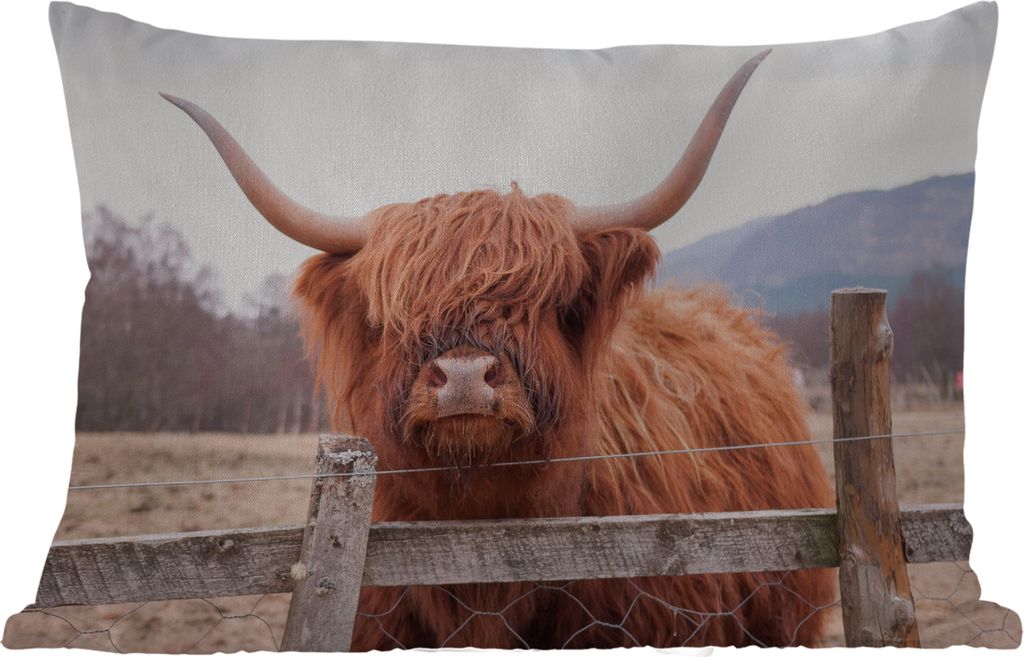 MuchoWow Outdoor Kissen - Scottish Hochlandrind - Gras - Zaun - 50x30 cm - Wetterfest - Lounge Kissen - Sofa kissen - Wohnzimmer Dekoration