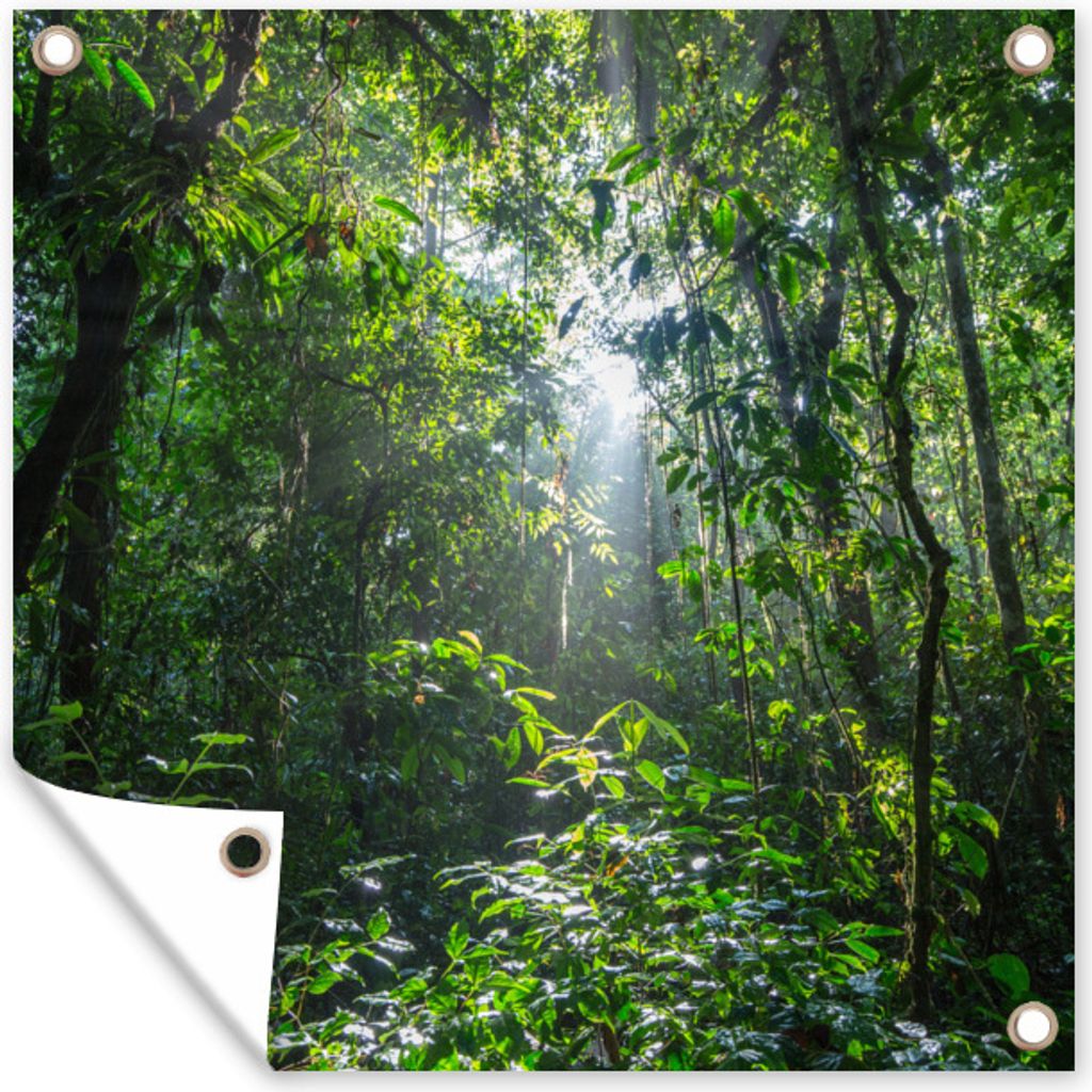 MuchoWow 50x50 cm Outdoor-Poster Gartendeko Sichtschutz Garten Poster für den Garten Die Sonne bricht durch die Bäume des Dschungels im Corcova...