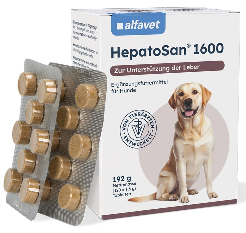 HepatoSan 1600 120 Tab. Produktbild 