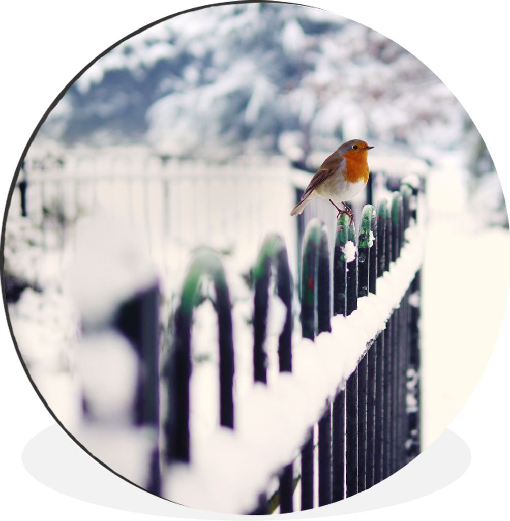 MuchoWow Aluminium Wandkreis Schnee - Rotkehlchen - Zaun Ø 90 cm Wanddeko Modern Wohnzimmer - Mauerkreis - Wandbilder - Runde Bild - Bild aus Al...