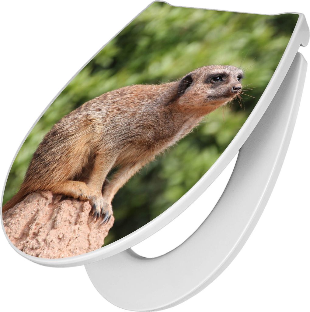 banjado Premium Toilettendeckel mit Absenkautomatik 44x37cm - Sitzendes Erdmännchen - WC Brille Soft Close - hygienischer Toilettendeckel/Klodecke...