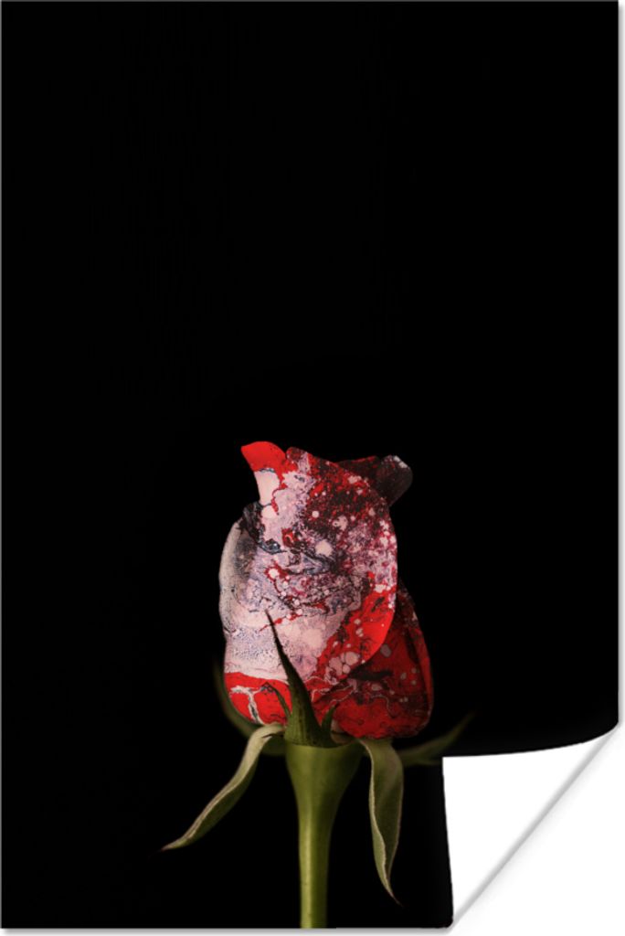 MuchoWow Poster Rose - Schwarz - Pilz 40x60 cm - Plakate für die Wand - Poster Babyzimmer
