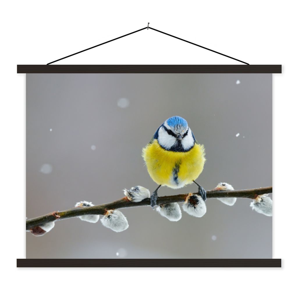 MuchoWow Textilposter Blaumeise - Vogel - Zweig - Gelb - Blau 150x113 cm mit holzfarbenen Rahmen - Poster