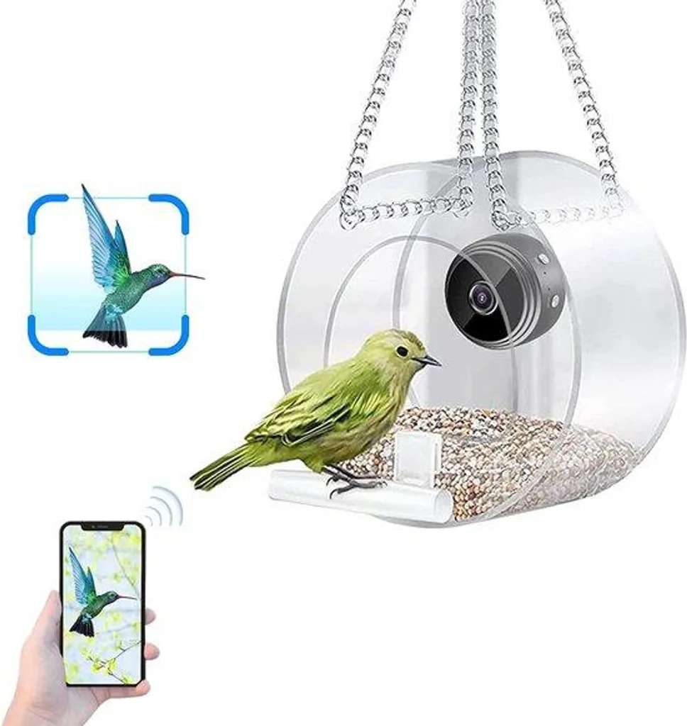 Mangeoire intelligente avec crochet et caméra Wi-Fi pour oiseaux sauvages