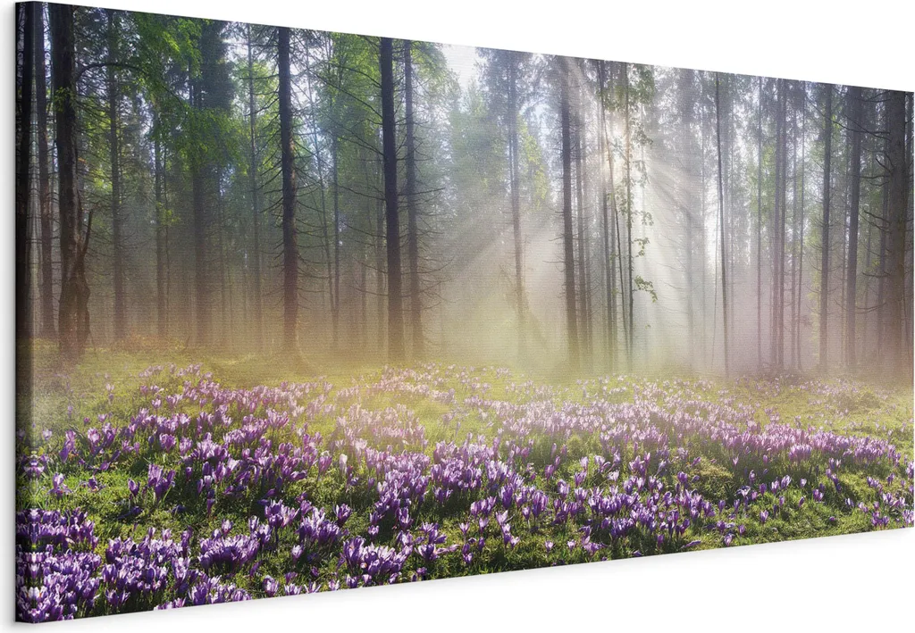 Quadro su Tela 120x60 Prato Viola - Arredamento Casa e Ufficio
