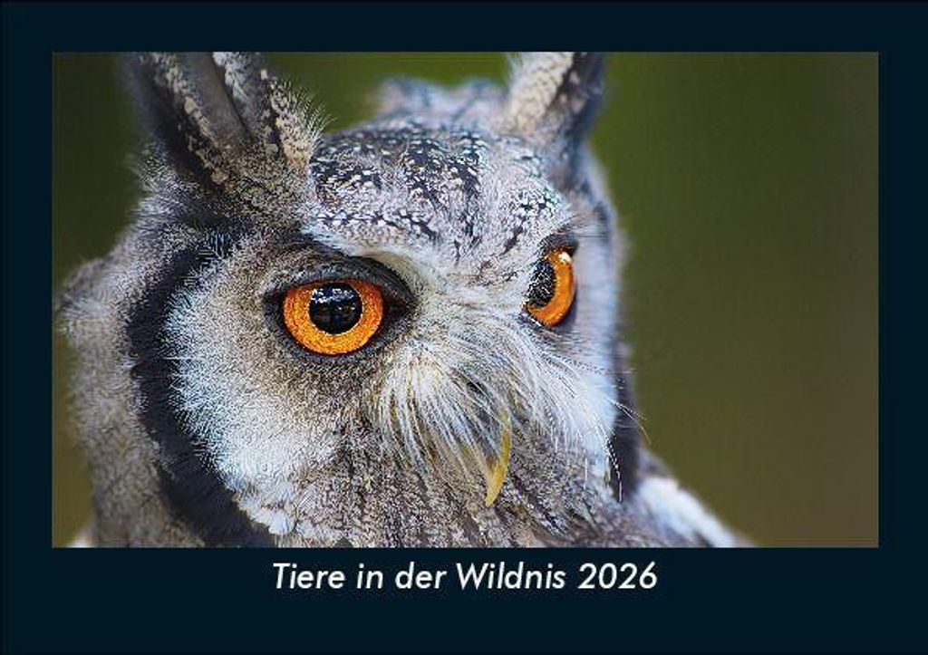 Tiere in der Wildnis 2026 Fotokalender - Querformat DIN A5, Monatskalender mit Bild-Motiven von Haustieren, Bauernhof, wilden Tieren und Raubtieren
