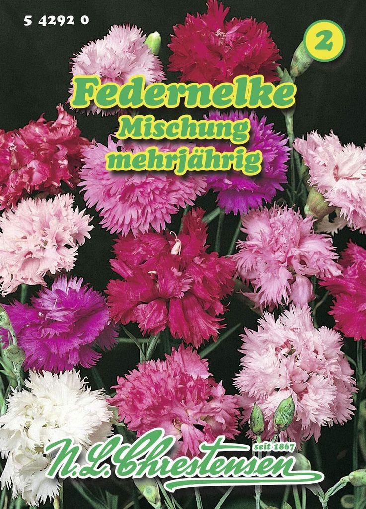 Federnelke Mischung  | Nelkensamen von N.L. Chrestensen Produktbild 