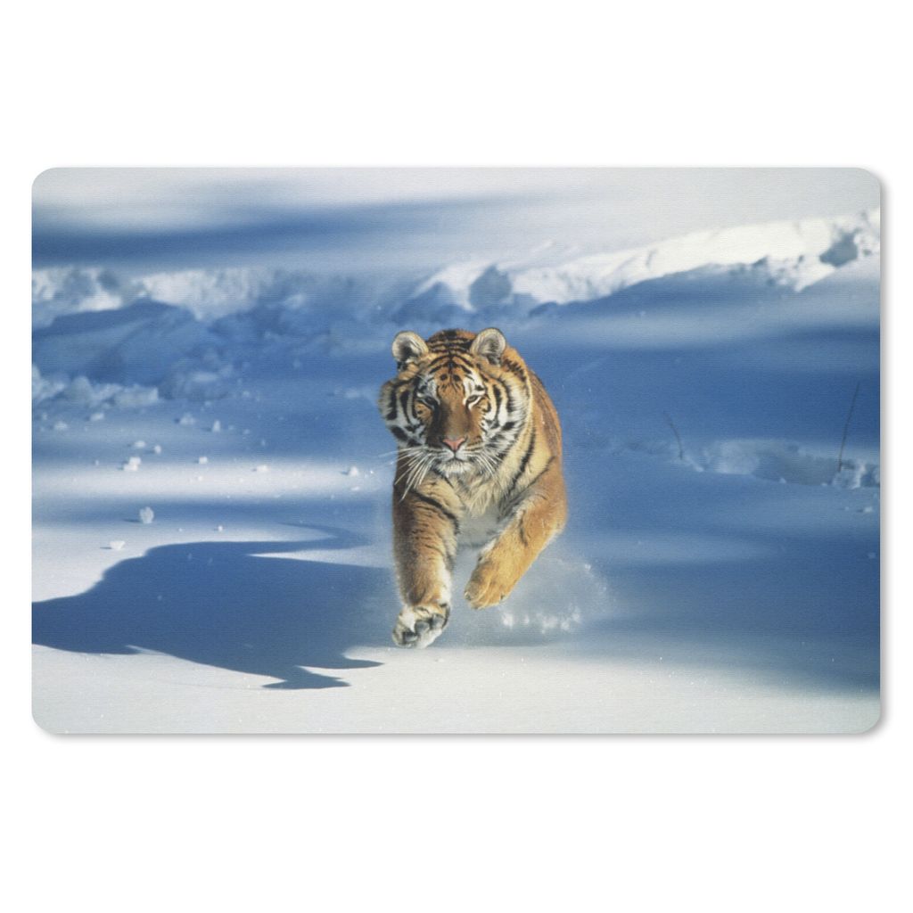 MuchoWow Schreibtischunterlage Tiger - Schnee - Lauf 60x40 cm - XXL Mauspad - Großes Mauspad