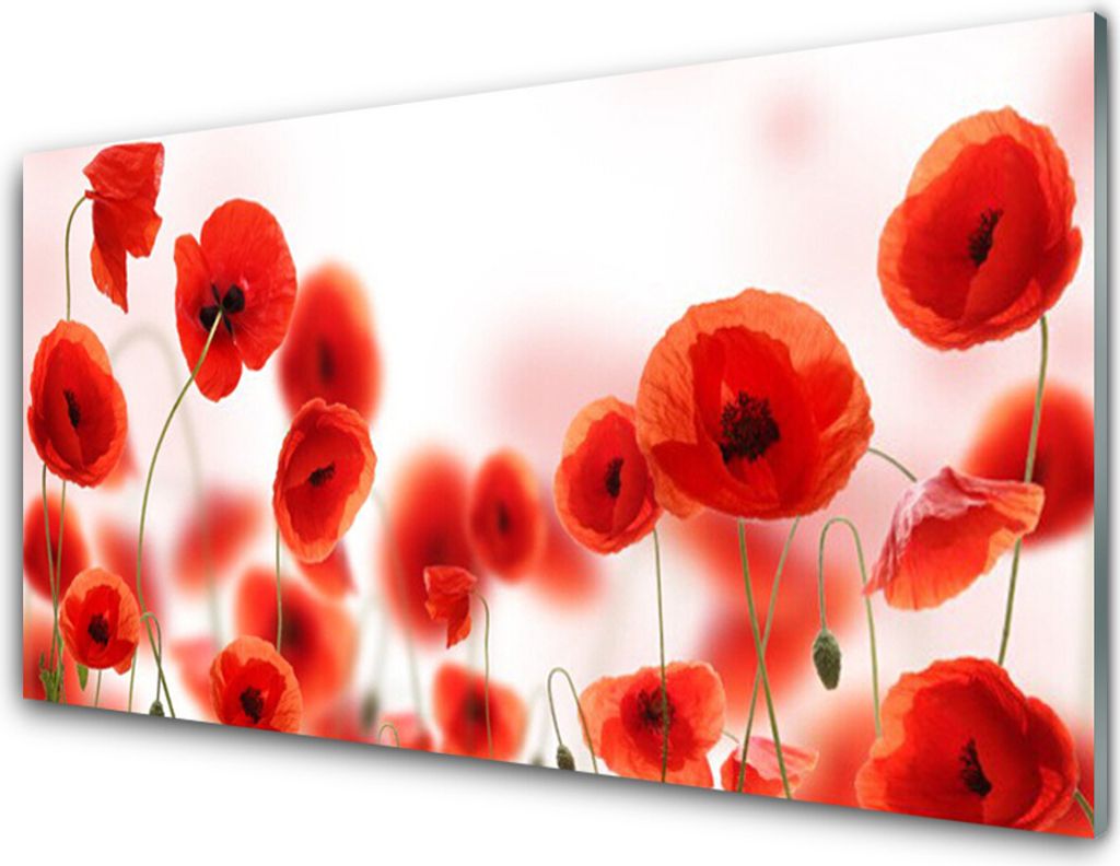 Acrylglasbilder 100x50 Wandbild Druck Mohnblumen Pflanzen