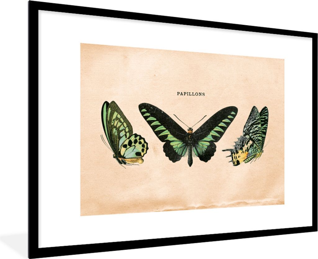 MuchoWow Gerahmtes Poster Schmetterling - Tier - Insekt 90x60 cm - Poster mit Schwarzem Bilderrahmen Wandposter Rahmen Foto Bilder - Wanddekorati...