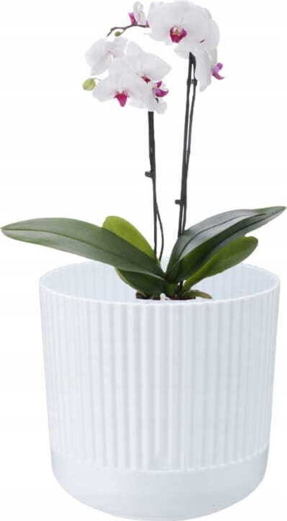 Kunststoff-Blumentopf mit Untersetzer, Übertopf NOSTALGIA 18 cm, mattes Material, weiß, gestreiftes Muster