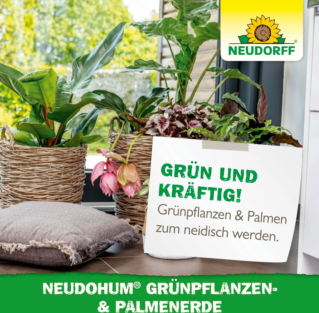 Neudorff NeudoHum Grünpflanzen & PalmenErde - 3 Liter Produktbild 9