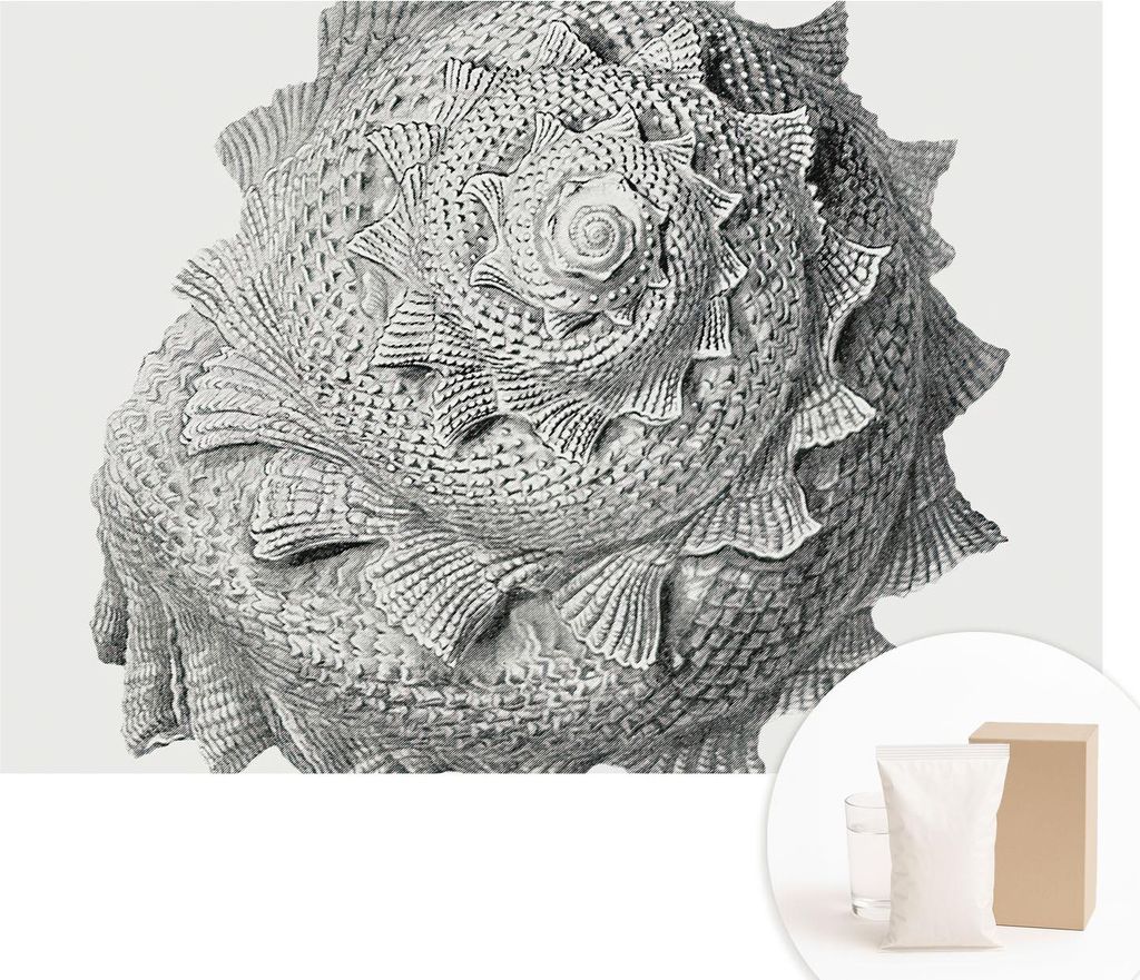 Fototapete - Wandbilder für Wohnzimmer - 208x146 cm - Dekorative Wandfolie - Modernes Design für Wanddekoration - Tapeten für Innenräume - Die ...