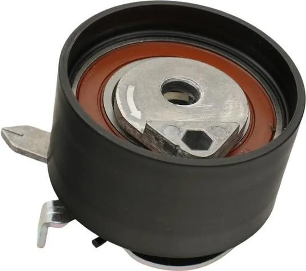 FAST FT44018 Tenditore Cinghia Renault Clio III 27mm Alta Qualità
