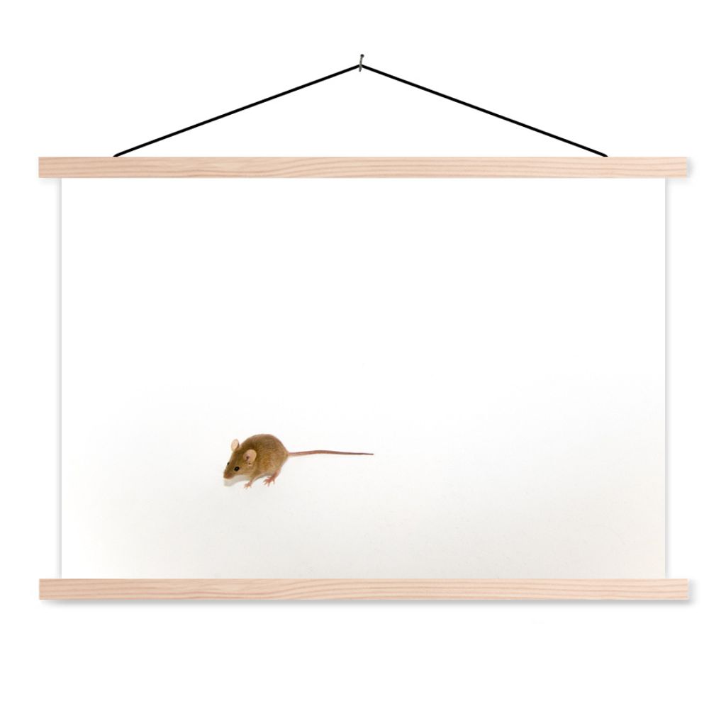 MuchoWow Textilposter Maus - Tiere - Weiß 120x80 cm mit holzfarbenen Rahmen - Aufhängeset