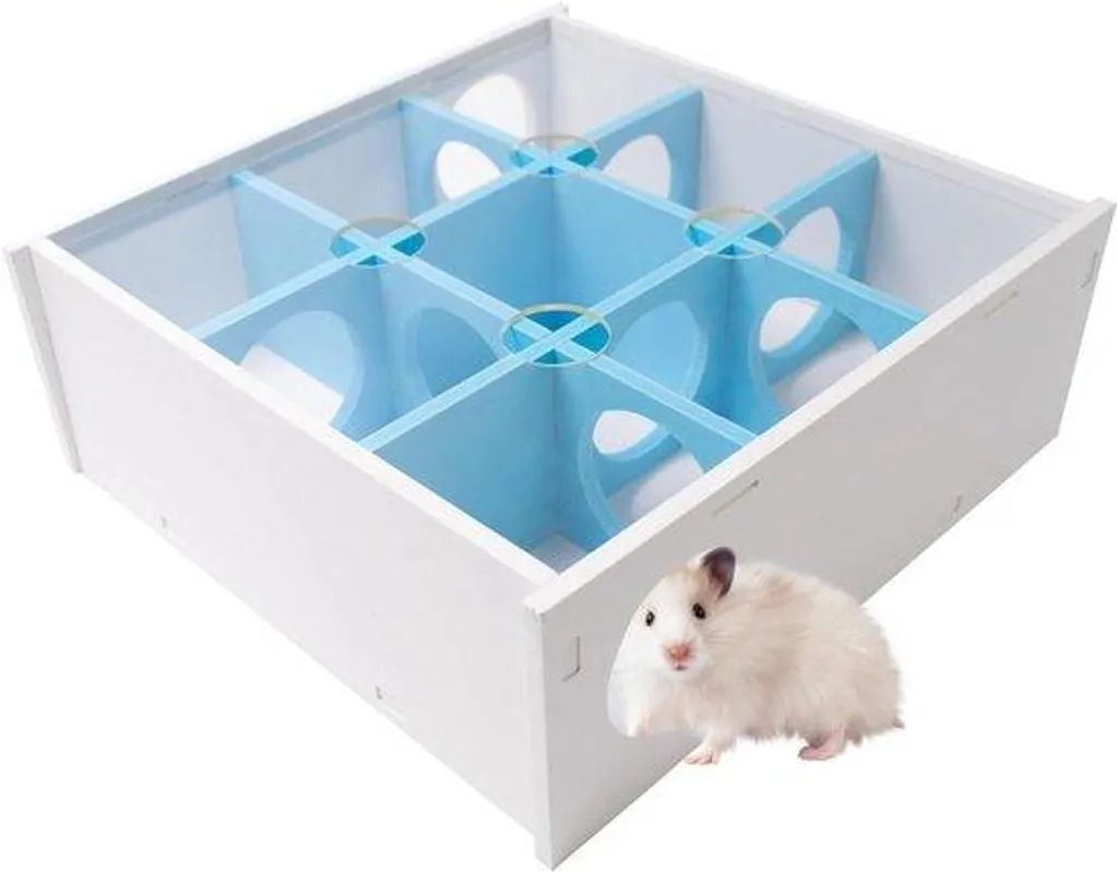 Labyrinthe en bois pour hamster et rongeur avec toit panoramique amovible