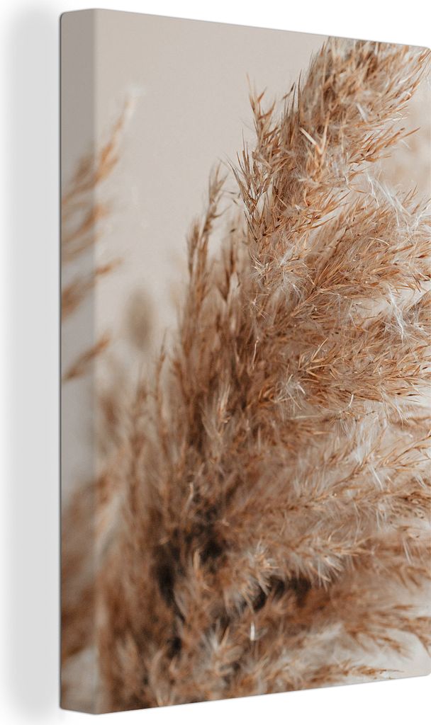 OneMillionCanvasses - Leinwandbilder - 90x140 cm, Gras - Pflanzen - Natur - Pampasgras, Wandbilder Kunstdruck Wanddekoration - Foto auf Leinwand ...