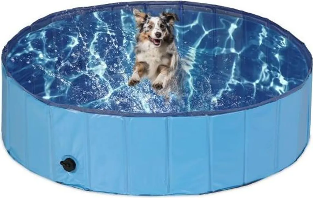Piscine bleue pour chiens : rafraîchissez votre animal cet été dehors