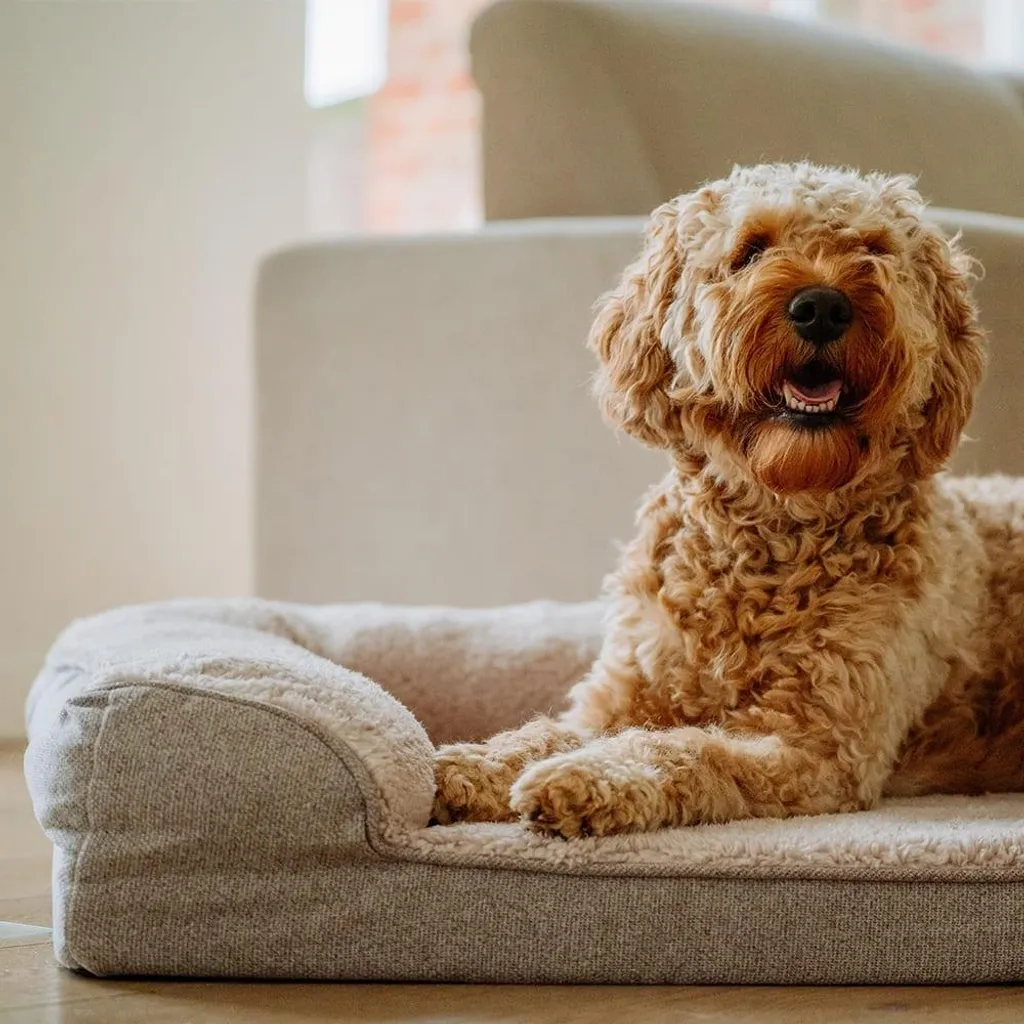 Couchage Chien Orthopédique CALBU Beige Nobby Idéal pour Articulation