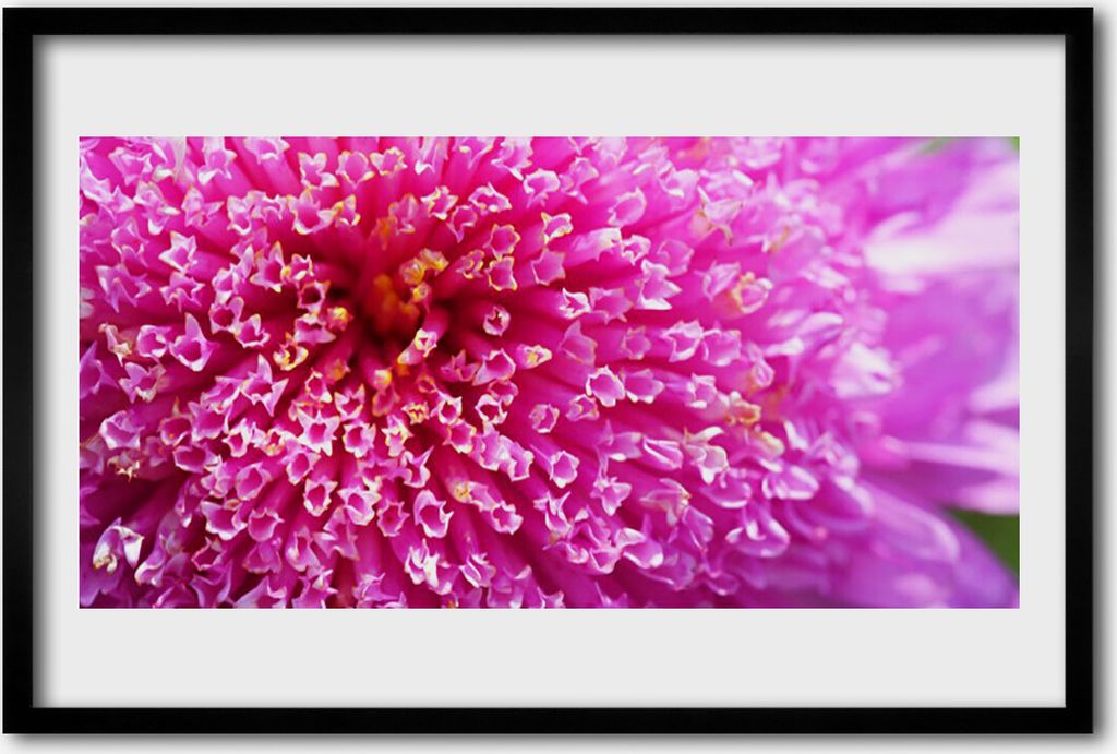 Bild 60x40 MDF-Rahmen Wandkunst Blume auf Wand