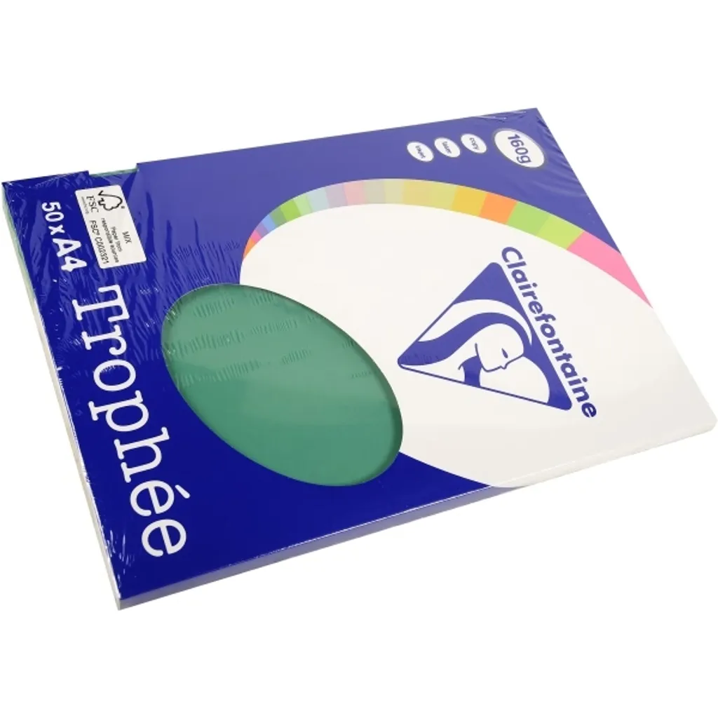 Papier A4 160g Vert Sapin PPP - Support Rigide pour Impression de Luxe