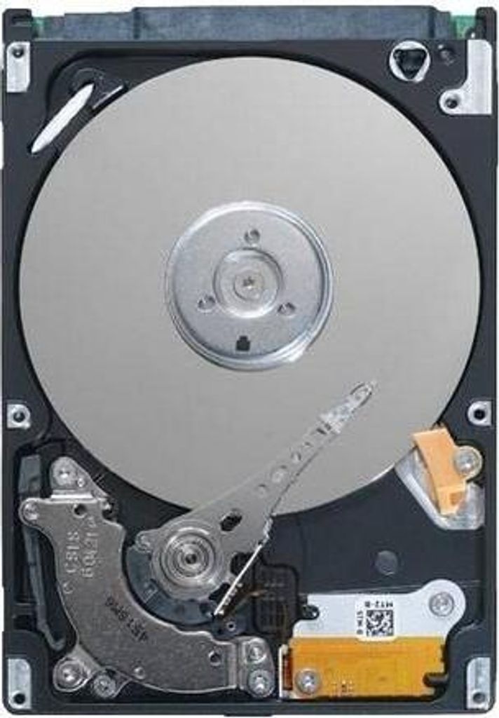 DELL Festplatte 2TB NL6 7.2 3.5 S-MSKP-2 E/C, 7RGK3