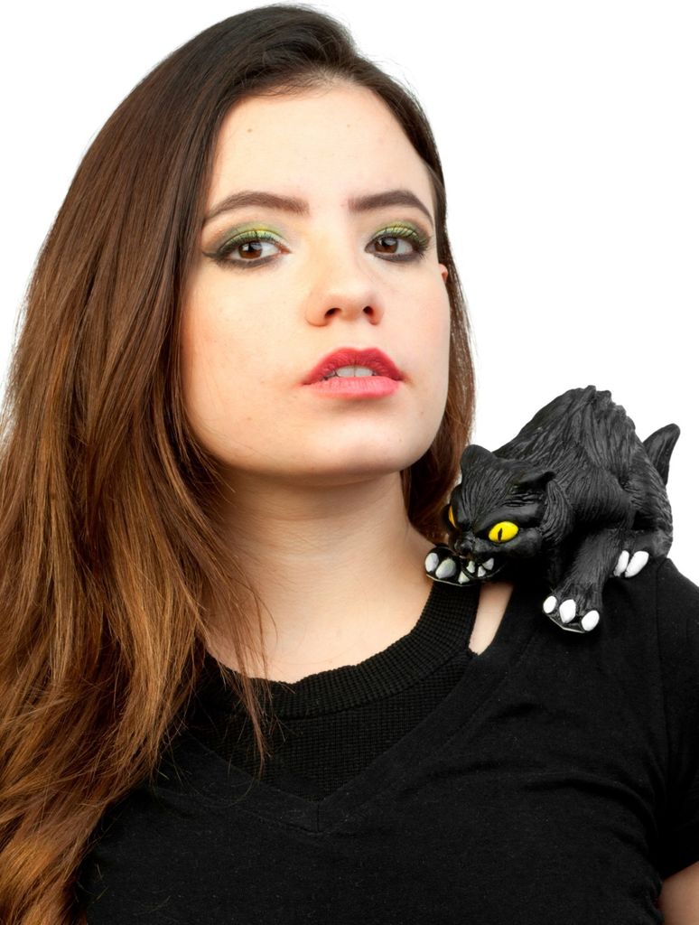 Schwarze Katze Schulterschreck