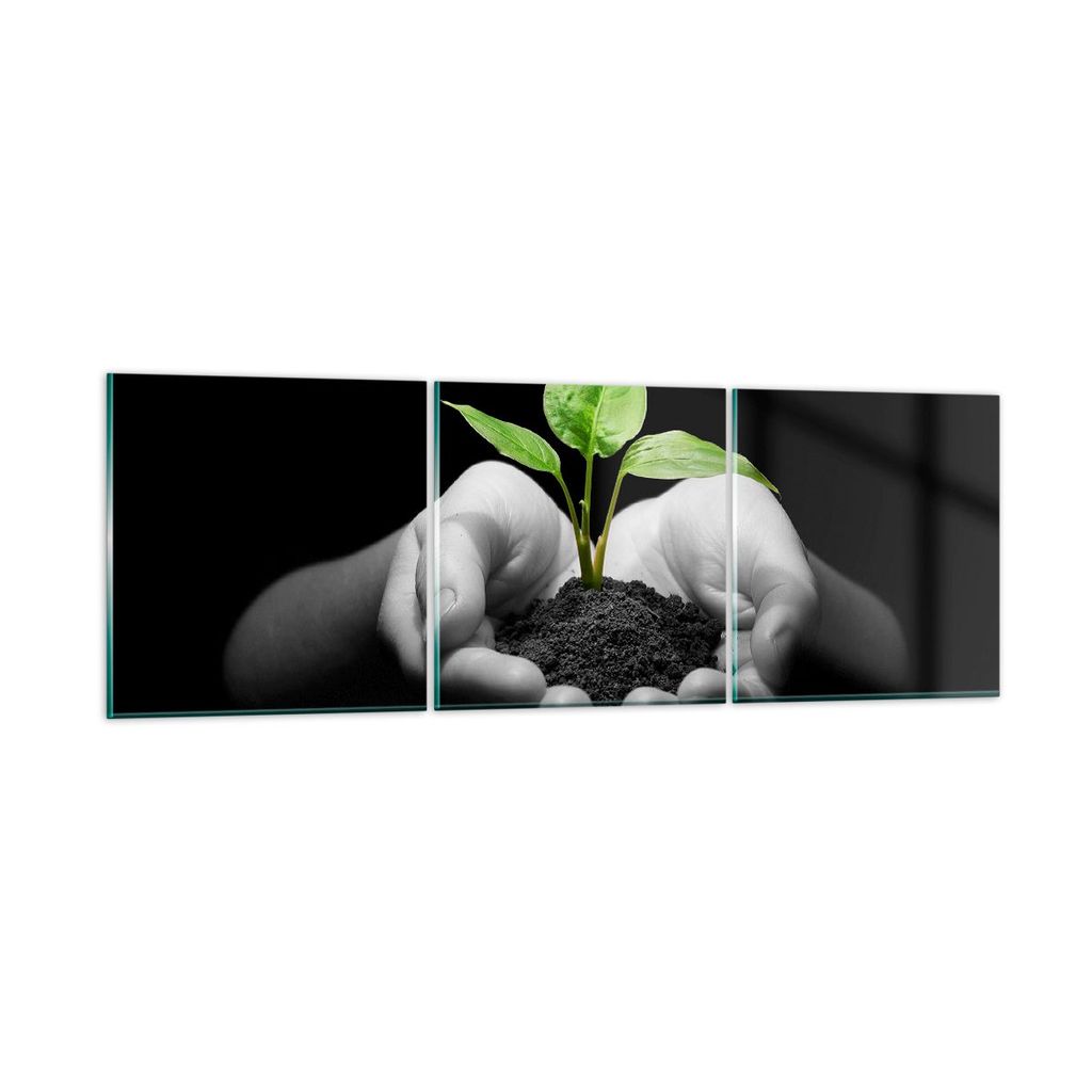 Bilder auf glas - Natur Pflanze Wissenschaft Schutz - 120x40cm - Glasbilder - Wandbilder - Kunstdruck - Wanddekoration aus Glas - Glas Bilder - Wan...