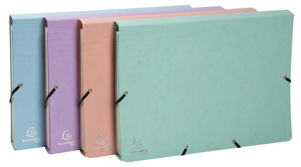 Trieur de documents 12 compartiments Exacompta : rangez tout en A4 - 2