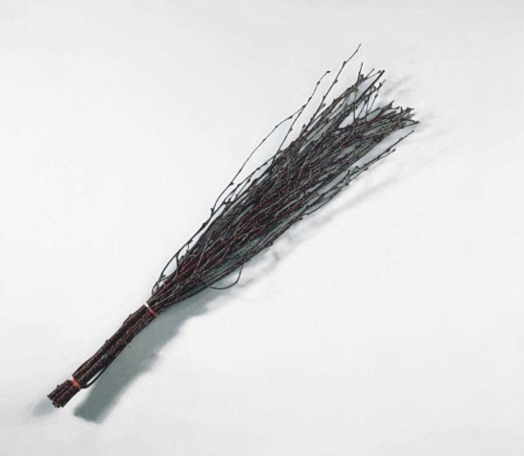 A bundle of twigs tied together with a red band, lying on a white surface.