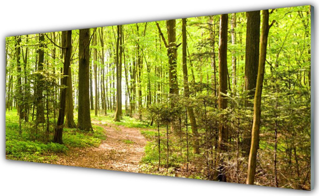 Küchenrückwand aus Glas 125x50cm Spritzschutz Wald Natur