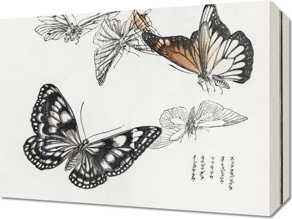 Bild 40x30cm Illustrationen Schmetterlinge Morimoto Toko Japanisch Vintage für das Wohnzimmer