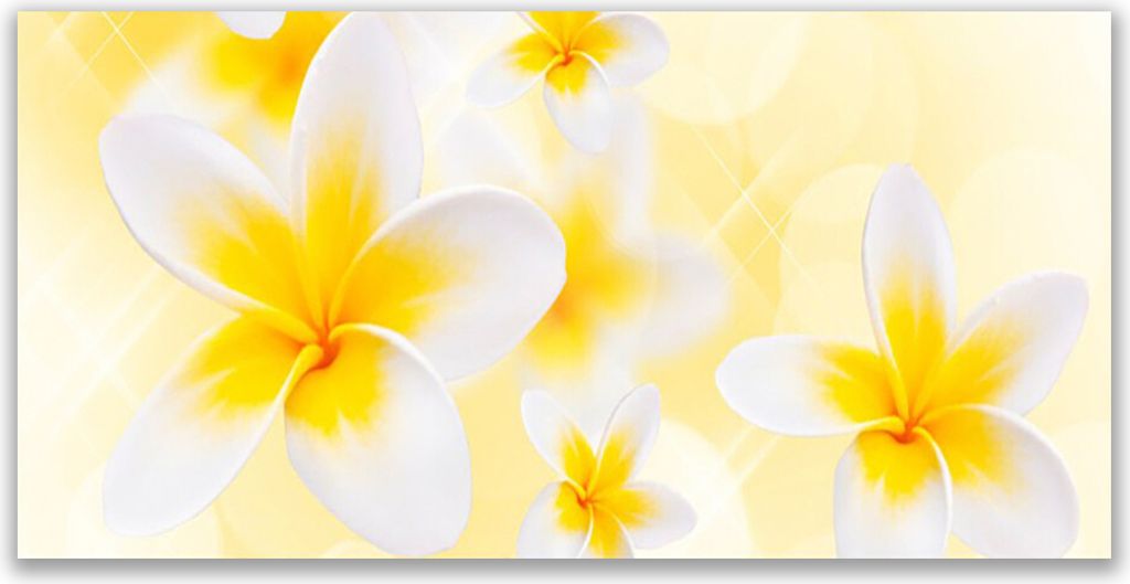 Tulup Leinwand-Bilder 140x70 Wandbild Canvas Kunstdruck Blumen Pflanzen