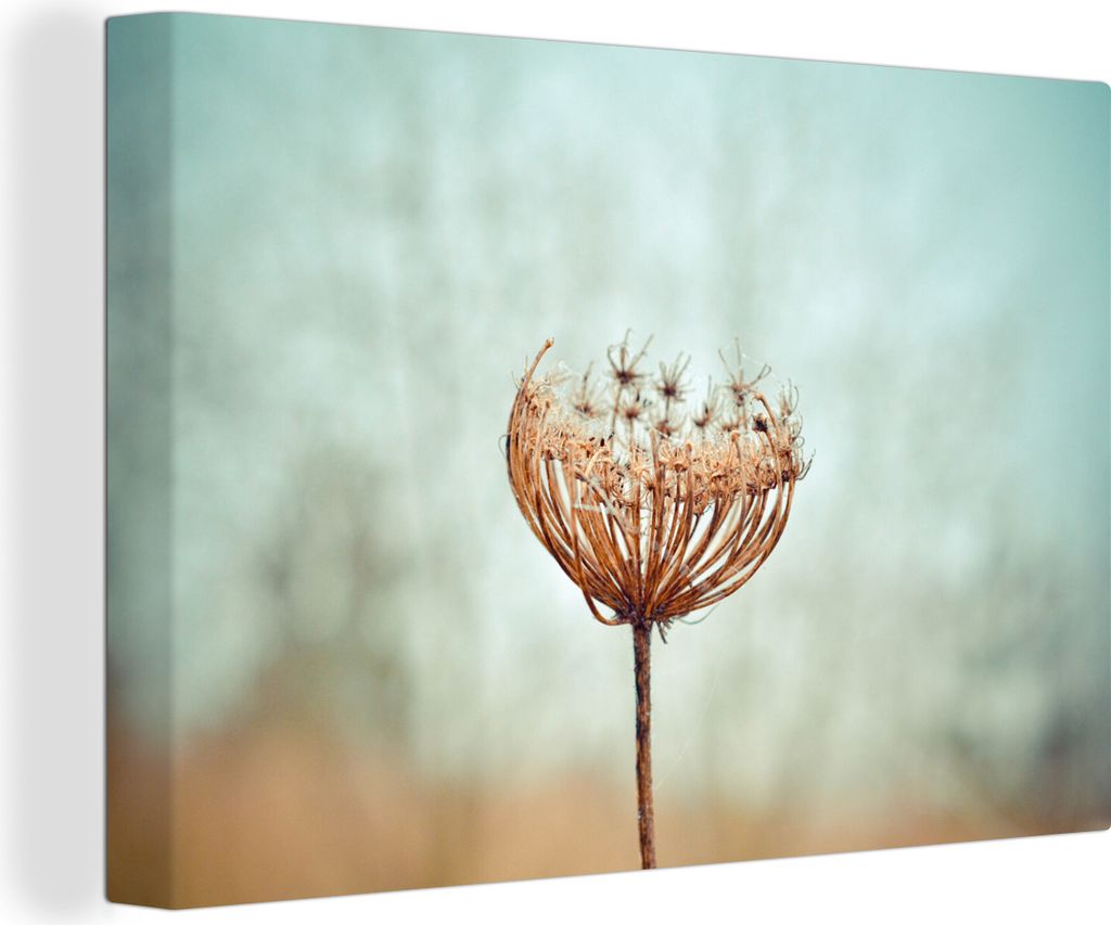 OneMillionCanvasses - Leinwandbilder - 140x90 cm, Vereinigtes Königreich - Löwenzahn - Saatgut, Wandbilder Kunstdruck Wanddekoration