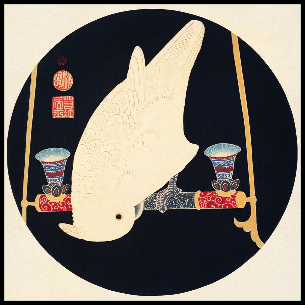 Plakat 70x70cm Ein Weißer Ara, Japanscher Vintage Jakuchu
