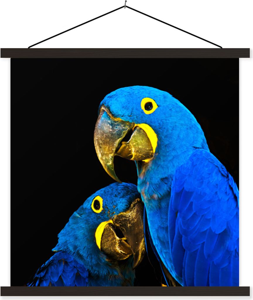 MuchoWow Textilposter Papagei - Vogel - Federn - Blau 40x40 cm mit schwarzem Rahmen - Fotos