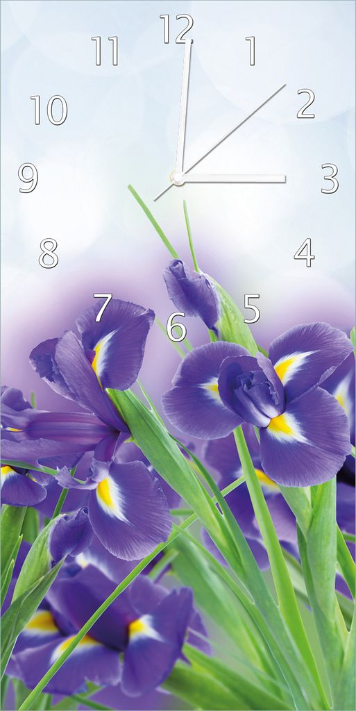 Wallario Design Wanduhr bedruckt, Größe 30 x 60 cm, Motiv: Produktbild 