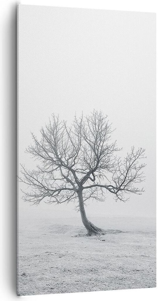 Bild auf Leinwand - Leinwandbild - Baum Feld Natur - 65x120cm - Wand Bild - Wanddeko - Wandbilder - Leinwanddruck - Bilder - Kunstdruck - Wanddekor...