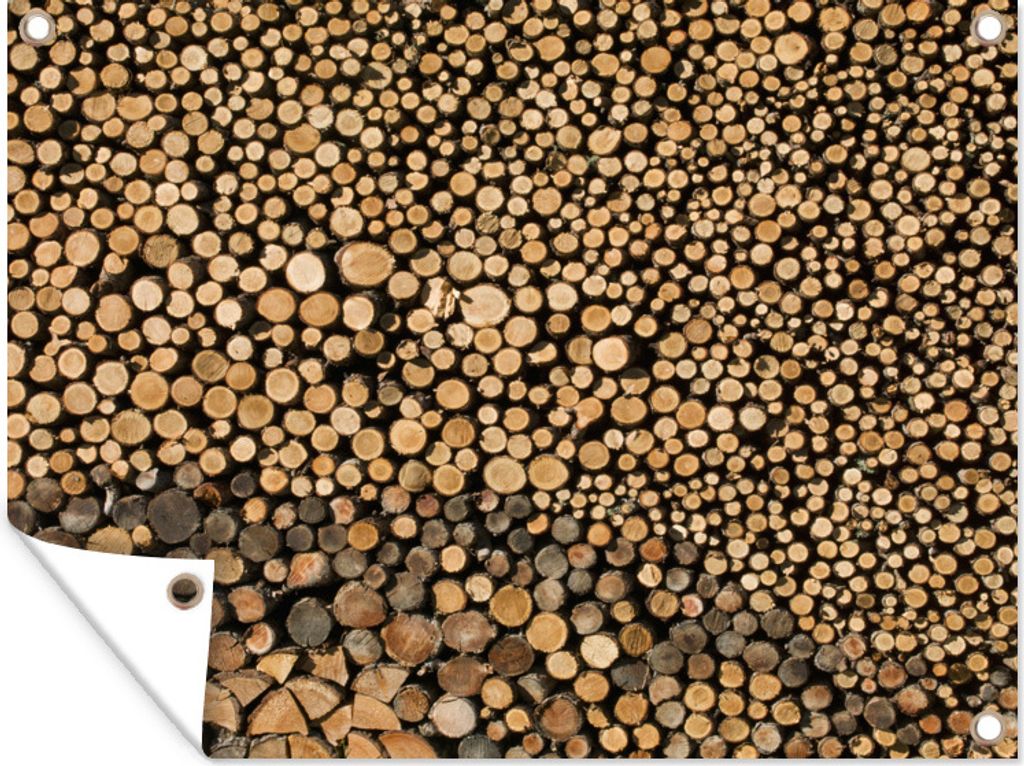 MuchoWow 40x30 cm Outdoor-Poster Gartendeko Sichtschutz Garten Poster für den Garten Hunderte von Baumstämmen liegen auf und nebeneinander