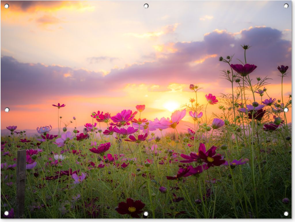 MuchoWow 120x90 cm Outdoor-Poster Gartendeko Sichtschutz Garten Poster für den Garten Blumen - Rosa - Sonnenuntergang - Natur - Wiese - Horizont
