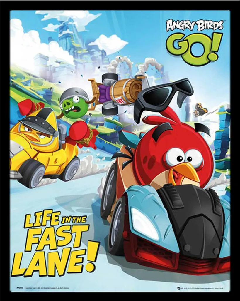 Poster Angry Birds Race Encadré : Protection Vitre Acrylique Shinsuke