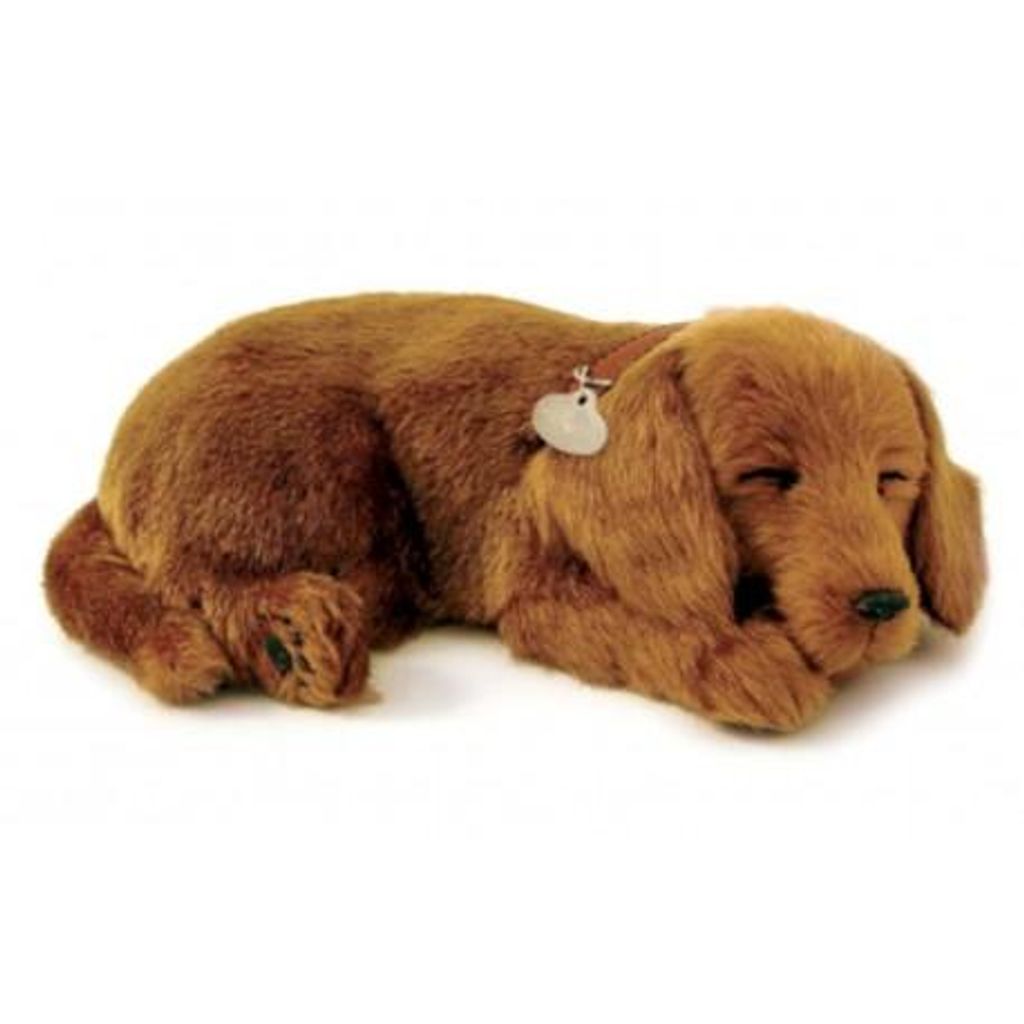 Perfect Petzzz Hundewelpe Dackel schläft & atmet hörbar/sichtbar ca. 25cm