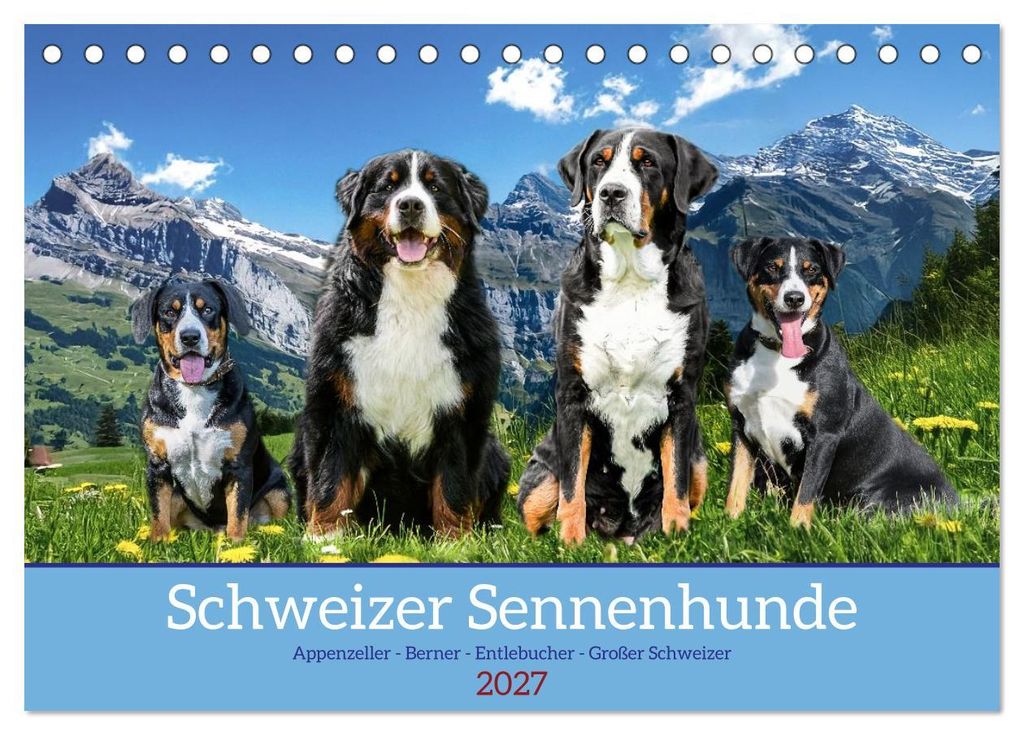 Schweizer Sennenhunde - Appenzeller - Berner - Entlebucher - Große Schweizer (Tischkalender 2027 DIN A5 quer), CALVENDO Monatskalender